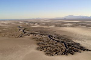 <p>The Colorado River delta has only seen seawater in the past 30 years. The tidal movement of the sea leaves a fascinating pattern of veins in the mudflats. © Ronald de Hommel</p>