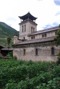 <p>Township government Cabernet vineyards planted outside of Cizhong’s church</p>