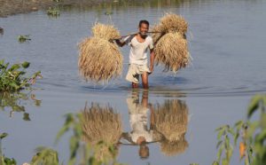 <p>Over three million people live on tiny islands along the Brahmaputra River in Assam (Image by rajkumar1220)</p>