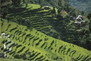 <p>he private sector is well positioned to help mountain communities by providing financing, market linkages, knowledge and other services. (Photo: courtesy of ICIMOD)</p>