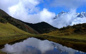 <p>Sikkim is home to the snow leopard, clouded leopard, red panda and Great Tibetan Sheep and a huge repository of medicinal plants. (Photo by Karneek Vyas)</p>