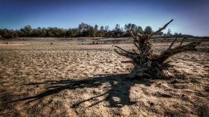 <p>Some communities are running out of water as California is hit by a third consecutive year of drought. (Image by Morgan Murphy)</p>