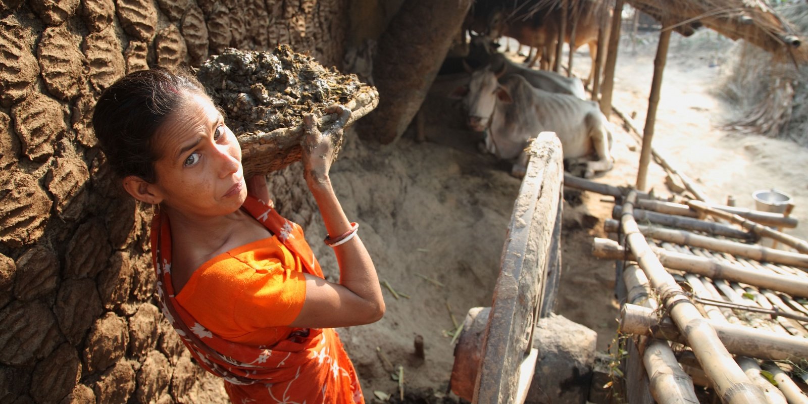 <p>oman carrying dung for use as fuel for cooking, India. Image source: Stevie Mann</p>