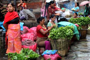 <p>During disasters, poorer women’s reproductive health vulnerability increases, while access to services decreases. Women sell vegetables in the Palace forecourt in Kathmandu. Photo Credit: Manipadma Jena</p>