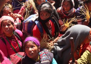 <p>  Thousands of villagers facing food shortages after a hailstorm destroyed crops in Mugu, one of Nepal&#8217;s poorest districts</p>