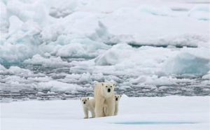 <p>Climate scientists should be honest about the carbon budgets necessary for the world to remain within the 2C target, says Kevin Anderson (Image by Greenpeace / Alex Yallop)</p>