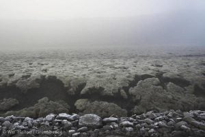 <p>Melting permafrost will lead to landslides, flooding and loss of wildlife habitat (© Wu Haitao / Greenpeace)</p>