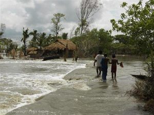 <p>Scientists estimate that over 70,000 people will be displaced from the Sundarbans due to sea level rise by the year 2030 (photo by Greenpeace)</p>