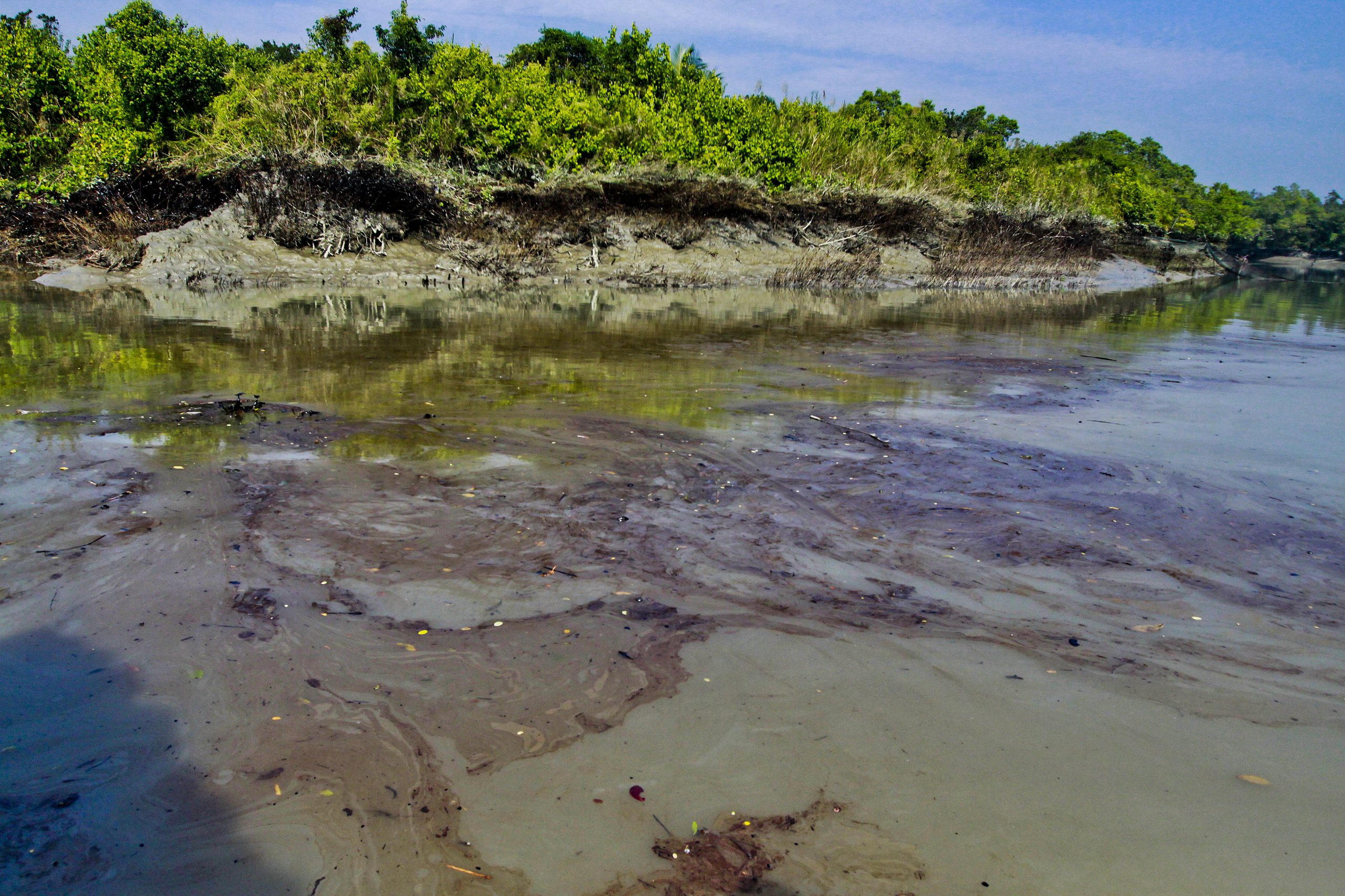 <p>The Sundarbans is a Unesco world heritage site and home to 6,000 Irrawaddy dolphins</p>