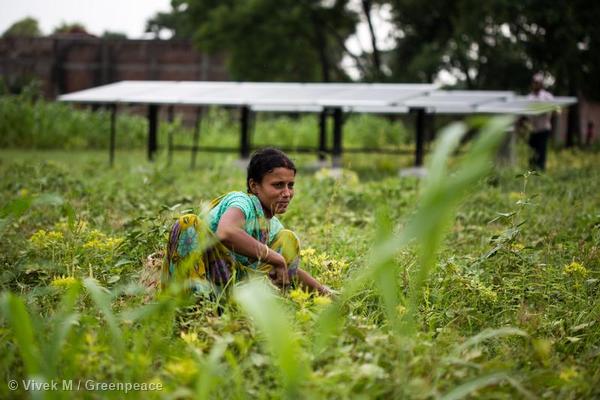 <p>Woman in Dharnai Village in India (Photo by Greenpeace)</p>