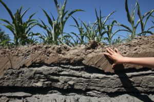<p>Without further follow-up on the part of the government, the true extent and danger of China’s soil pollution is still unknown (Image by Zhao Gang/Greenpeace)</p>