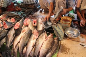 <p>Gariahat fish market, Kolkata</p>