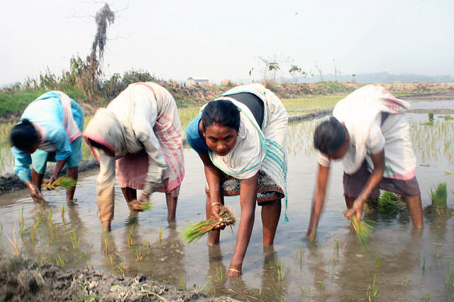 <p>Diganta Talukdar</p>