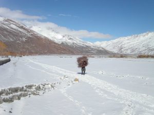 <p>A Wakhi man collecting firewood in the light snow. (Photo: Wikimedia)</p>
