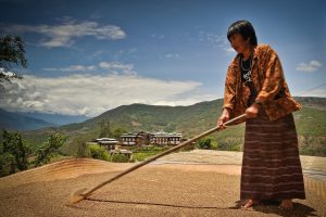 <p>Most people in Bhutan rely on agriculture, but have no safety net if crops are destroyed (Photo by Asian Development Bank)</p>