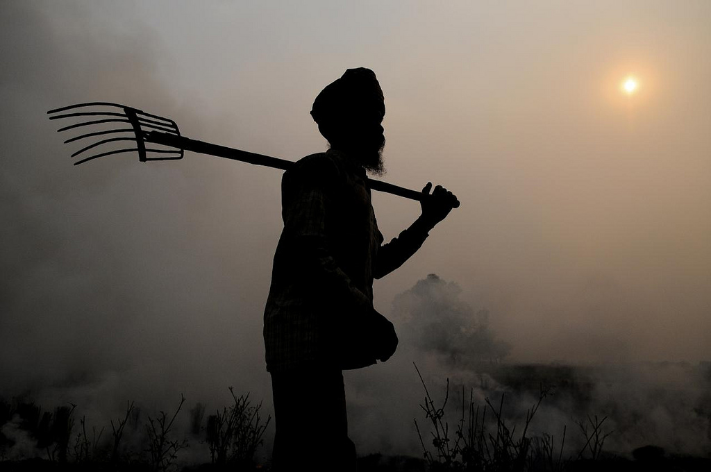 <p>Burning of rice residues in south-east Punjab, India, prior to the wheat season.  (Courtesy of Neil Palmer (CIAT).</p>