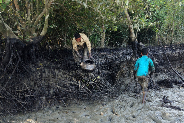 Rescuing the Sundarbans from the oil spil