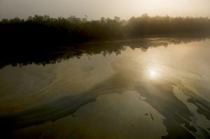 <p>Oil spill over the Shela River [image by Arati Kumar-Rao/ Peepli.Org]</p>