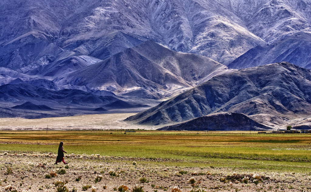 <p>A Ladakhi women walking to the paddy fields,  Ladakh, India. (Photo by Prabhu B Doss)</p>