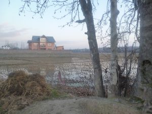 building on Kashmir farmlands which used to be just crops