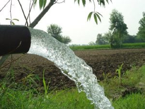 <p>Excessive use of groundwater for agriculture is creating a crisis [image by Shahzada Irfan]</p>