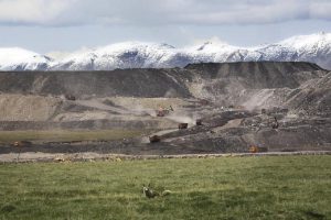 <p>Fox in front of the Qinghai Coking Coal Group opencast coal mine, with the Chi-lien mountains in the background. [image by Greenpeace]</p>