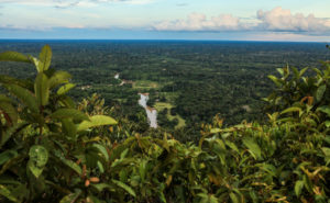 <p>Parque Nacional de la Sierra del Divisor, entre Brasil y Peru (imagem: <a href="https://commons.wikimedia.org/wiki/File:Serra_do_Divisor_01.jpgtarget=%22_blank%22">Agência de Noticias do Acre</a>)</p>