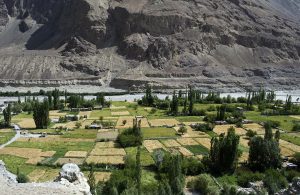 <p>Nestled in the high Himalayas, Turtuk is a scenic village</p>