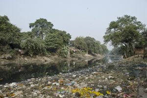 <p>Litter on the Adi Ganga in West Bengal (Image: Eric Parker)</p>