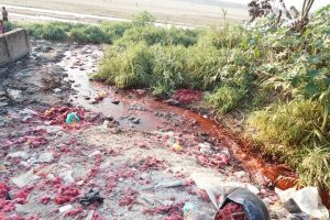 <p>Waste water from dyeing plants flowing into the shallow Falgu river [image by Alok Gupta]</p>