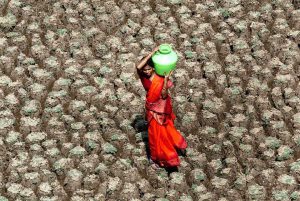<p>A woman carries home a pot of water, while taking a shortcut across the dry bed of the Usmansagar lake, in Andhra Pradesh [image by Sherwin Crasto / American Center, Mumbai]</p>