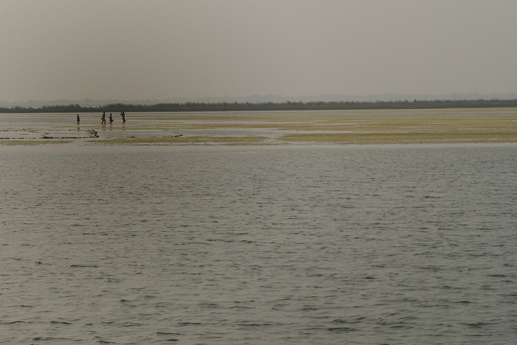 <p>The Ganga has silted up, this is the situation near Farakka [image by Arati-Kumar Rao]</p>