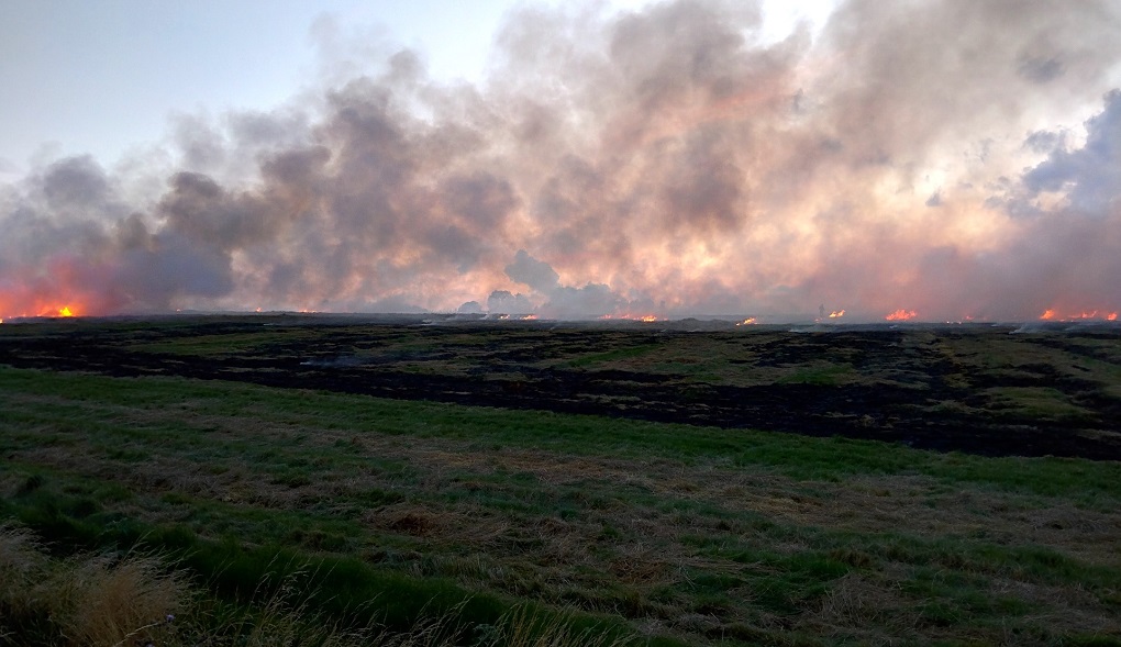 <p>The burning of crop residue in Punjab and Haryana is creating serious air pollution hazard over northern India [image by: Richardt Radek Larsen]</p>