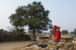 <p>In South Asia, women often face the brunt of theproblems associated with limited water availability [image by:Knut-Erik Helle]</p>