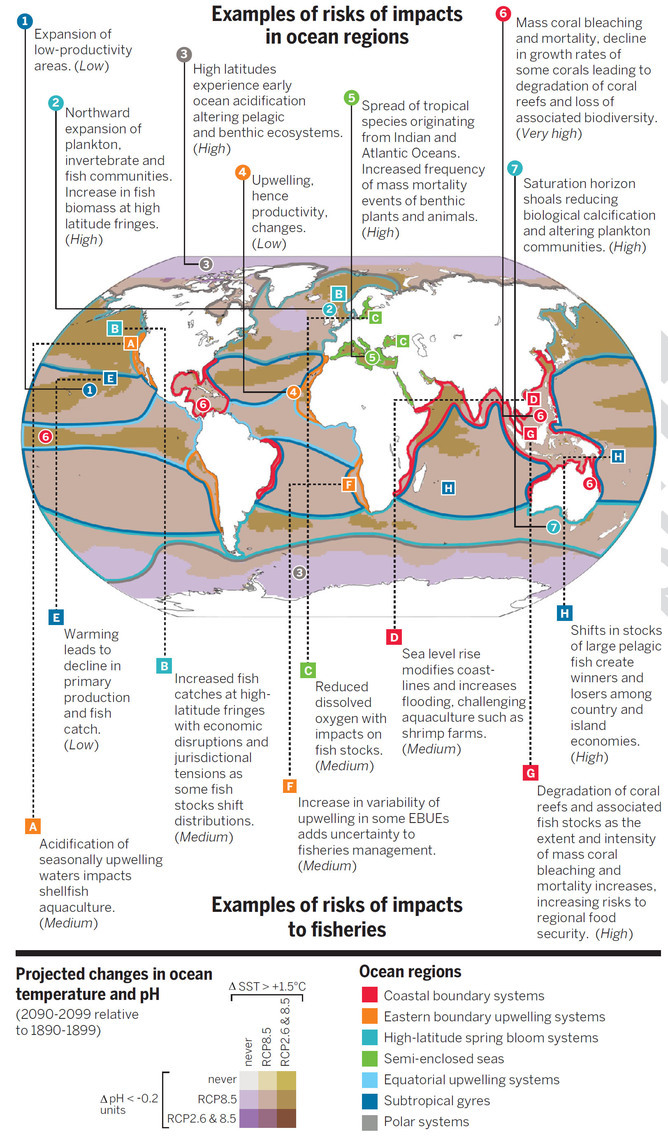 Examples of risks of impacts in ocean regions, climate impacts