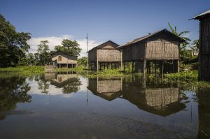 <p>Homes surrounded by water in Salmara village, Majuli [image by: INDIA ACTED]</p>