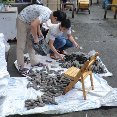 Sea cucumbers are sorted in a Hong Kong market (Photo: Michael Fabinyi)