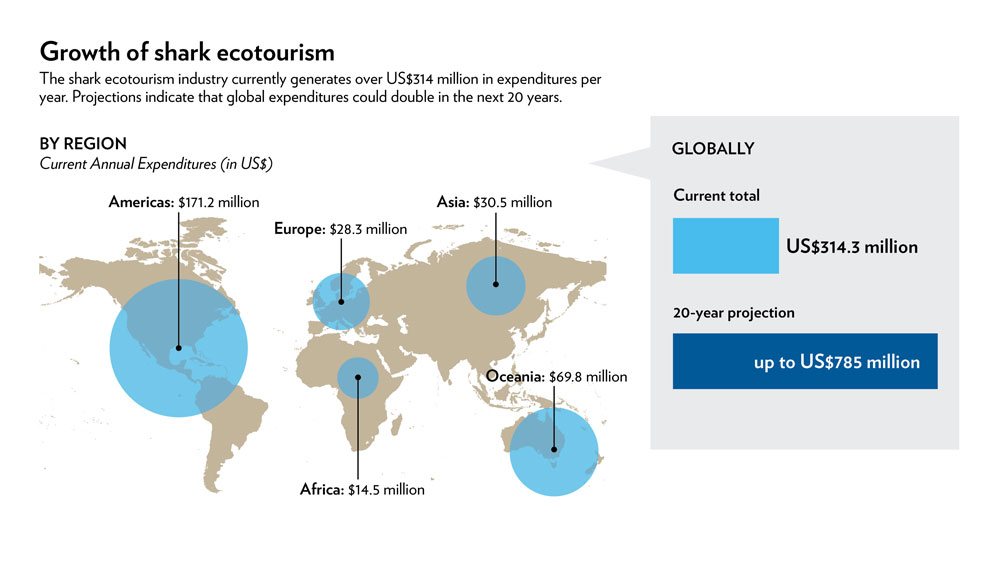 Growth of shark ecotourism