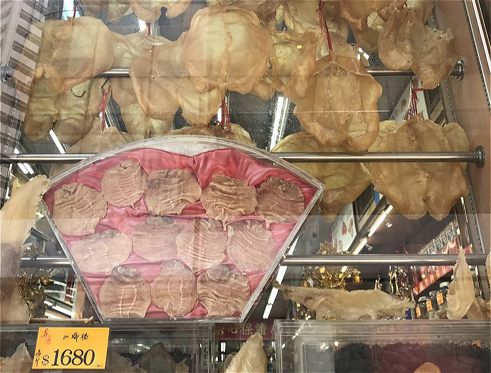 在香港，一公斤石首鱼鱼鳔（花胶）十分昂贵