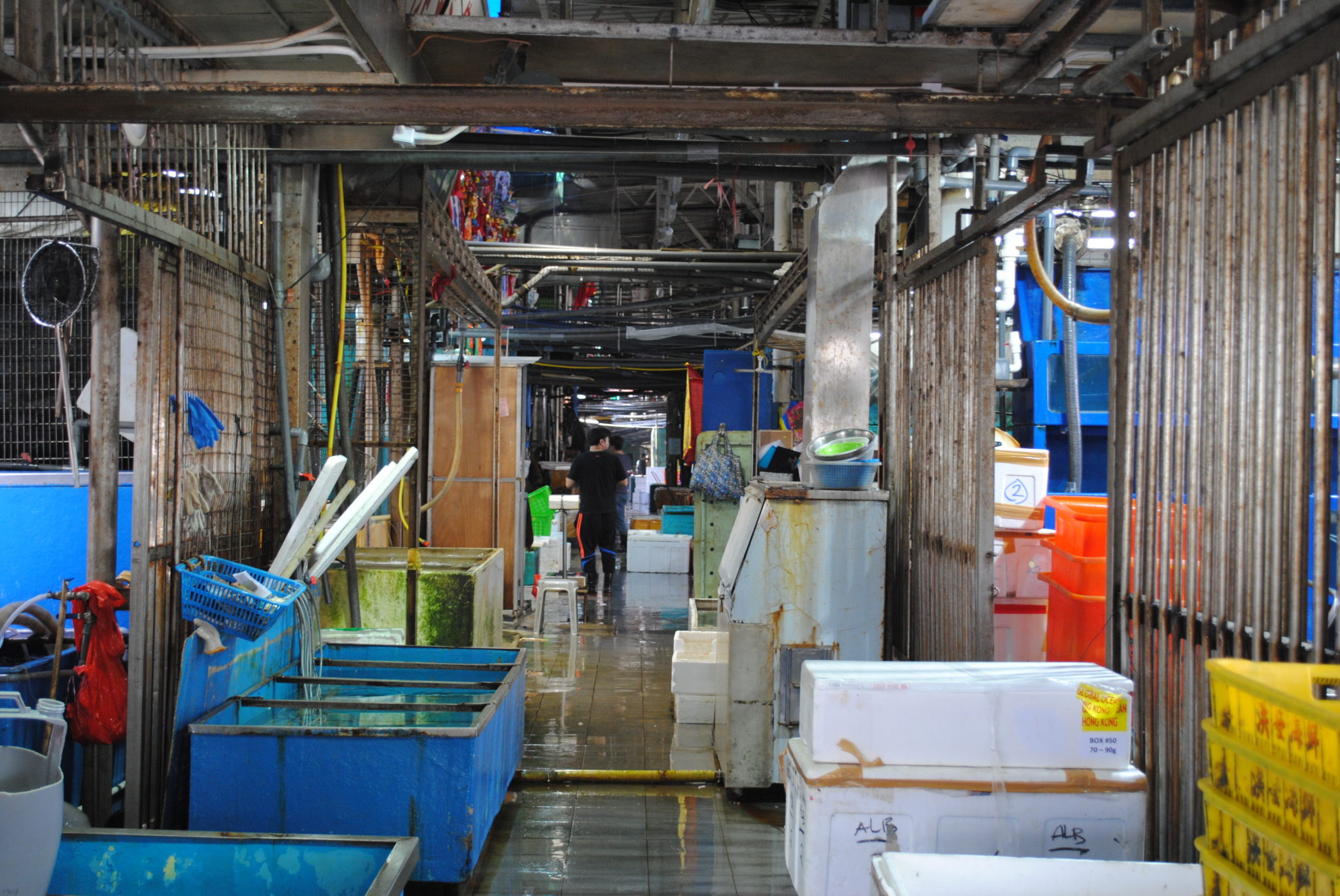 Workers at Aberdeen Wholesale Fish Market during the midafternoon lull. Reef fish are available in the market
