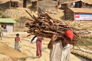 man collecting firewood in Rohingya [image by: Mokammel Shuvo]