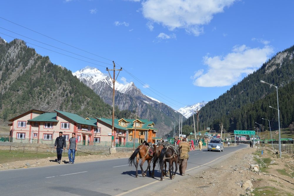 <p>During the migration of nomads to highland pastures all the utensils, bedding, tents, rice and maize flour are carried by the horses [image by: Athar Parvaiz]</p>