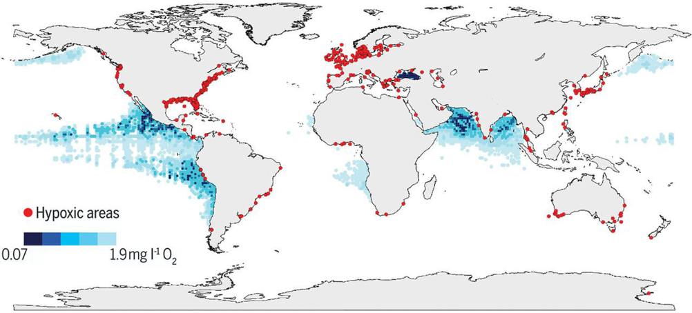 A map showing coastal sites where anthropogenic nutrients, such as nitrogen from fertilisers, have led to dead zones (red dots). Source: Brietburg et al, Science, 2018.