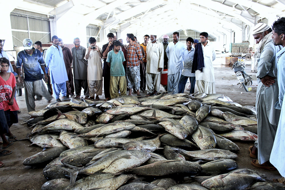Fishermen are concerned about being displaced from Gwadar as the port infrastructure develops (Image: Zofeen T Ebrahim)