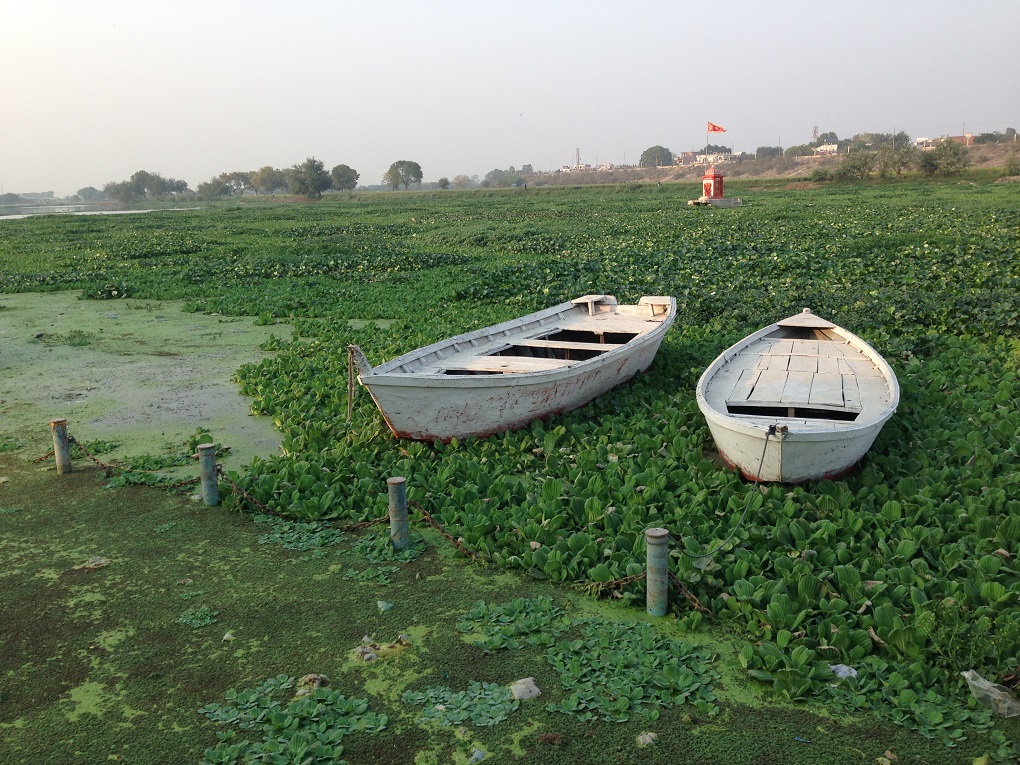 <p>There is barely any water, much less clean water, flowing in the Gomti as it crosses Lucknow [image: Wikimedia Commons]</p>