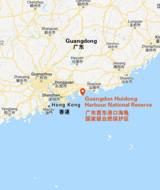 A map of the Guangdong Huidong Harbour National Reserve to protect nesting habitats for sea turtles