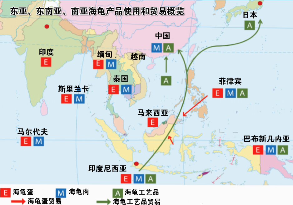 东亚、东南亚、南亚海龟产品使用和贸易概览