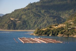 <p>Las granjas de salmón chilenas buscan incrementar las ventas a China (imagen: <a href="https://www.flickr.com/photos/sbeebe/3390986542" target="_blank" rel="noopener">Sam Beebe</a>)</p>