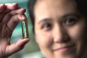 <p>Mya Le Thai&#8217;s nanowire technology allows lithium-ion batteries to be recharged hundreds of thousands of times (image by: Steve Zylius / UCI)</p>