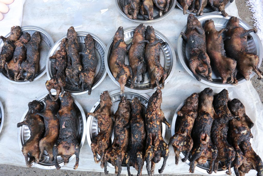 A selection of grilled field rats in the local market in Kale township